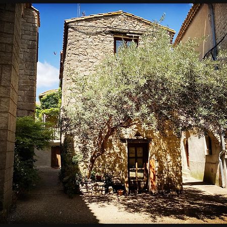 B&B Vigne Vierge Aigne (Herault) Exterior foto