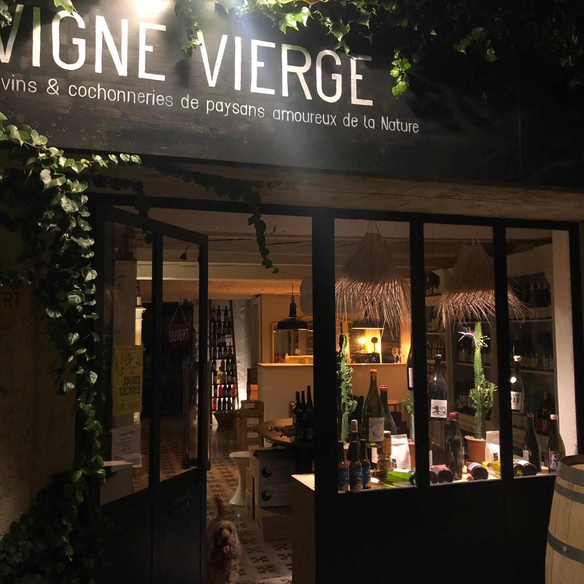 B&B Vigne Vierge Aigne (Herault) Exterior foto